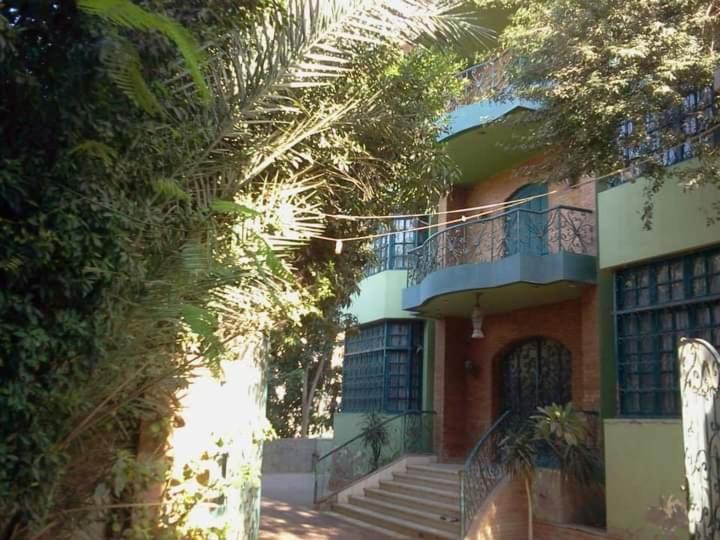Richard Pyramids Inn Hotel Kafrat al Jabal Luaran gambar